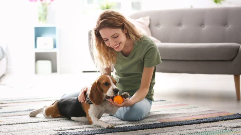 Are Your Pets Harming Your Home’s Air Quality?
