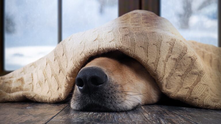 Why Won’t My Heating System Work?