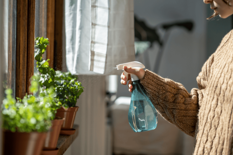Watering Indoor Plant