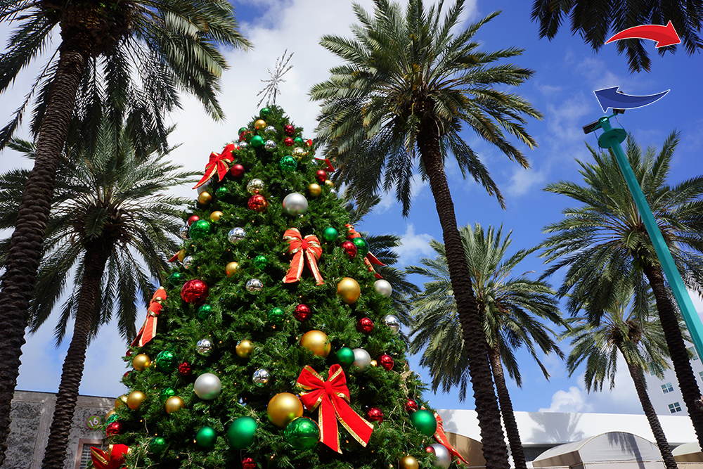 Christmas tree among palm trees