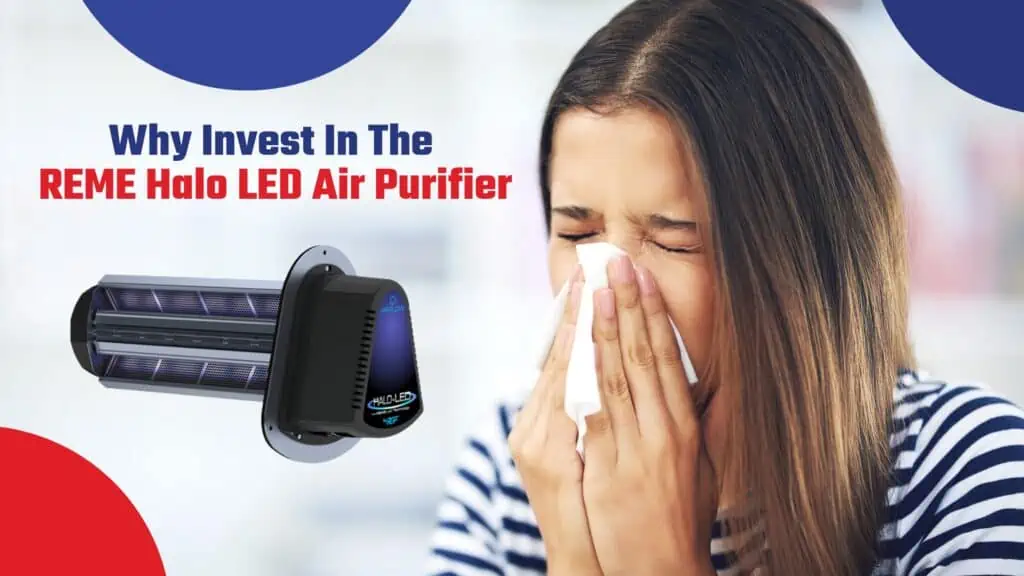 Why Invest in the Reme Halo Air Purifier?