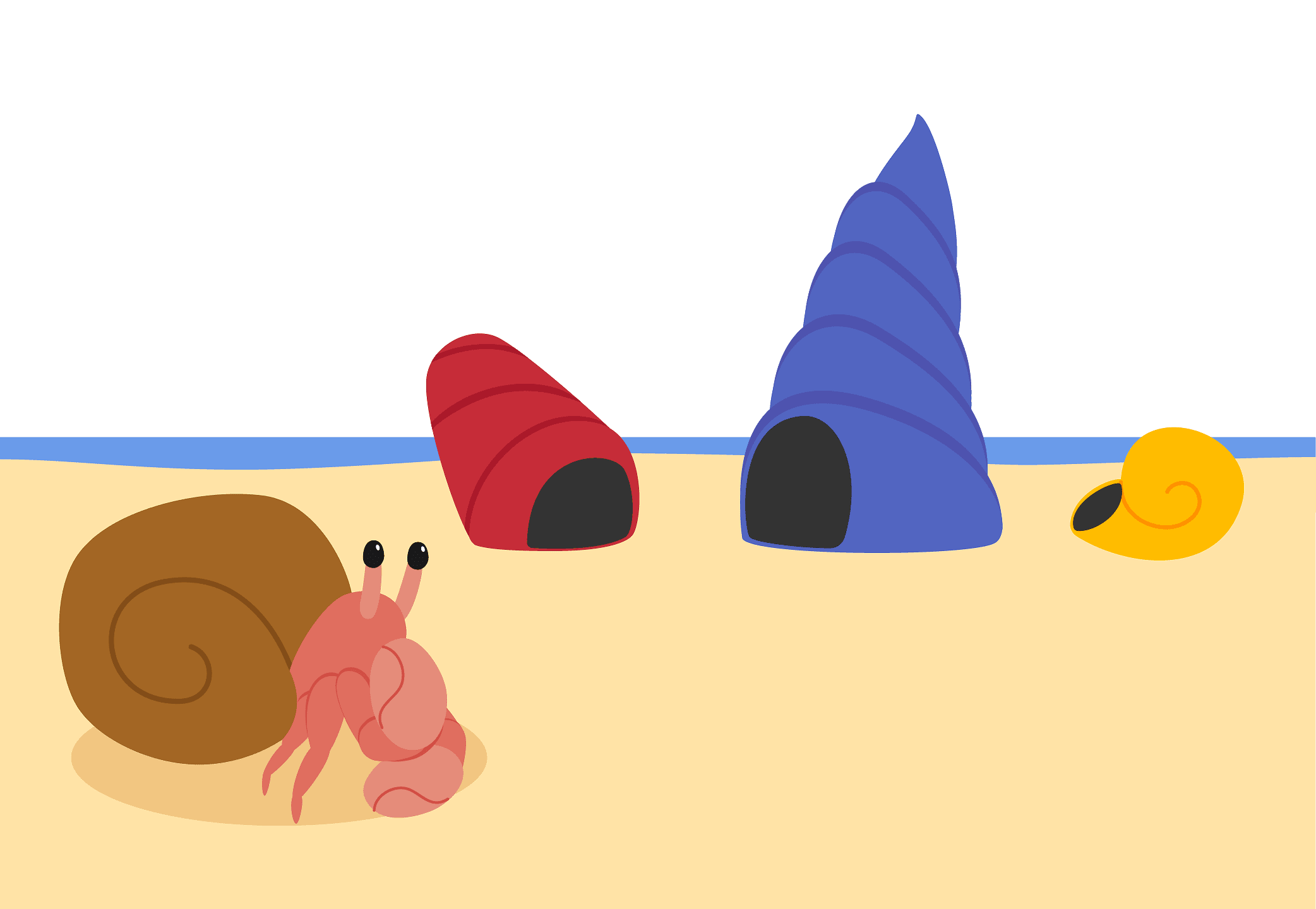A hermit crab looking for a new shell